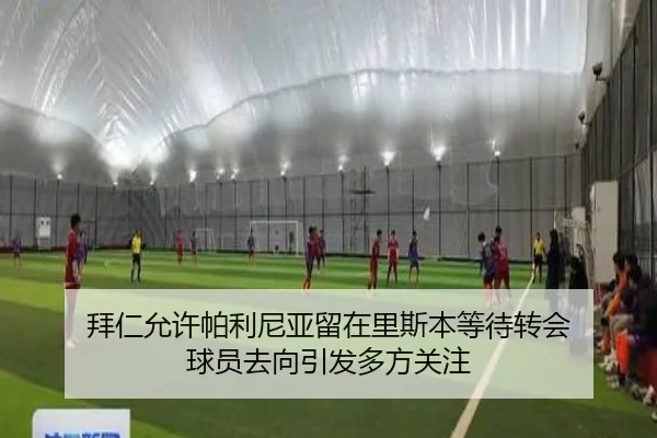 拜仁允许帕利尼亚留在里斯本等待转会 球员去向引发多方关注