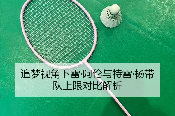 追梦视角下雷·阿伦与特雷·杨带队上限对比解析